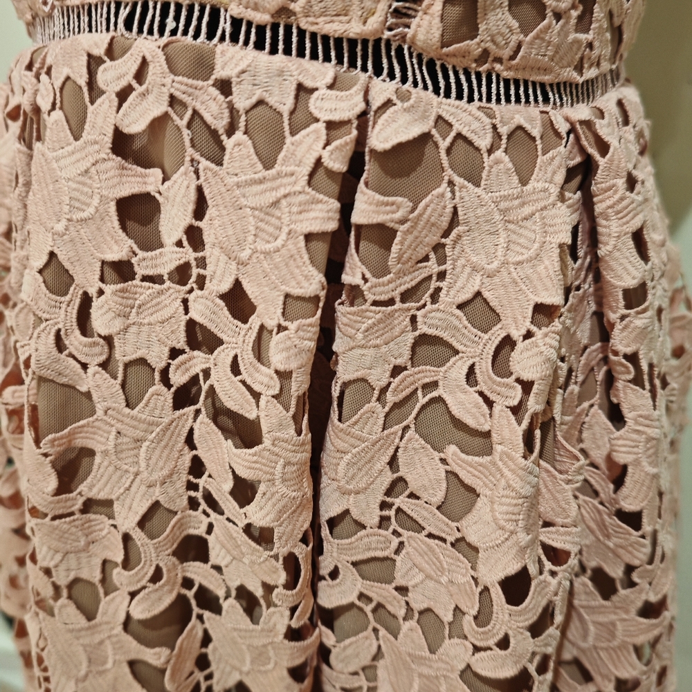 Self-Portrait Blush Pink Lace Midi Dress - Picture 11 of 16